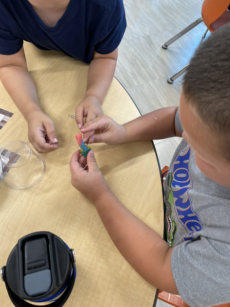 Kindergish's tweet photo. Can the kinders rescue Freddy the worm and get him in his swim ring, without touching Freddy? You bet these smart kiddos can! #WES #kinder https://t.co/UKn2KBYeAt
