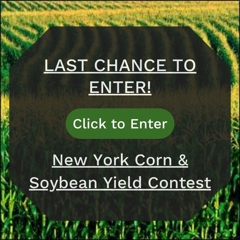 nycsga.memberclicks.net/2023-ny-corn--…
