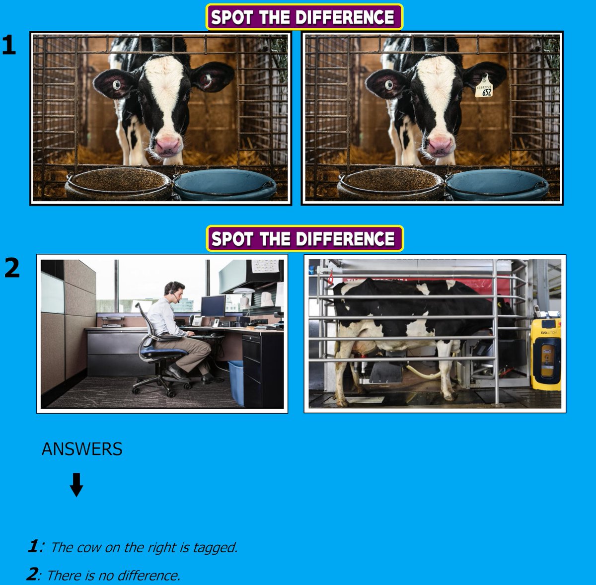 cloud_wisdom's tweet photo. #Spotthedifference #ObservationSkills
#FactoryFarming #AnimalCruelty https://t.co/kGAT6qdTvj