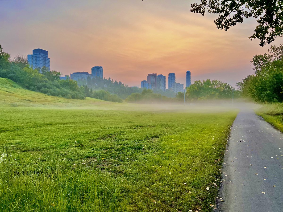 Darren Markland tweet media