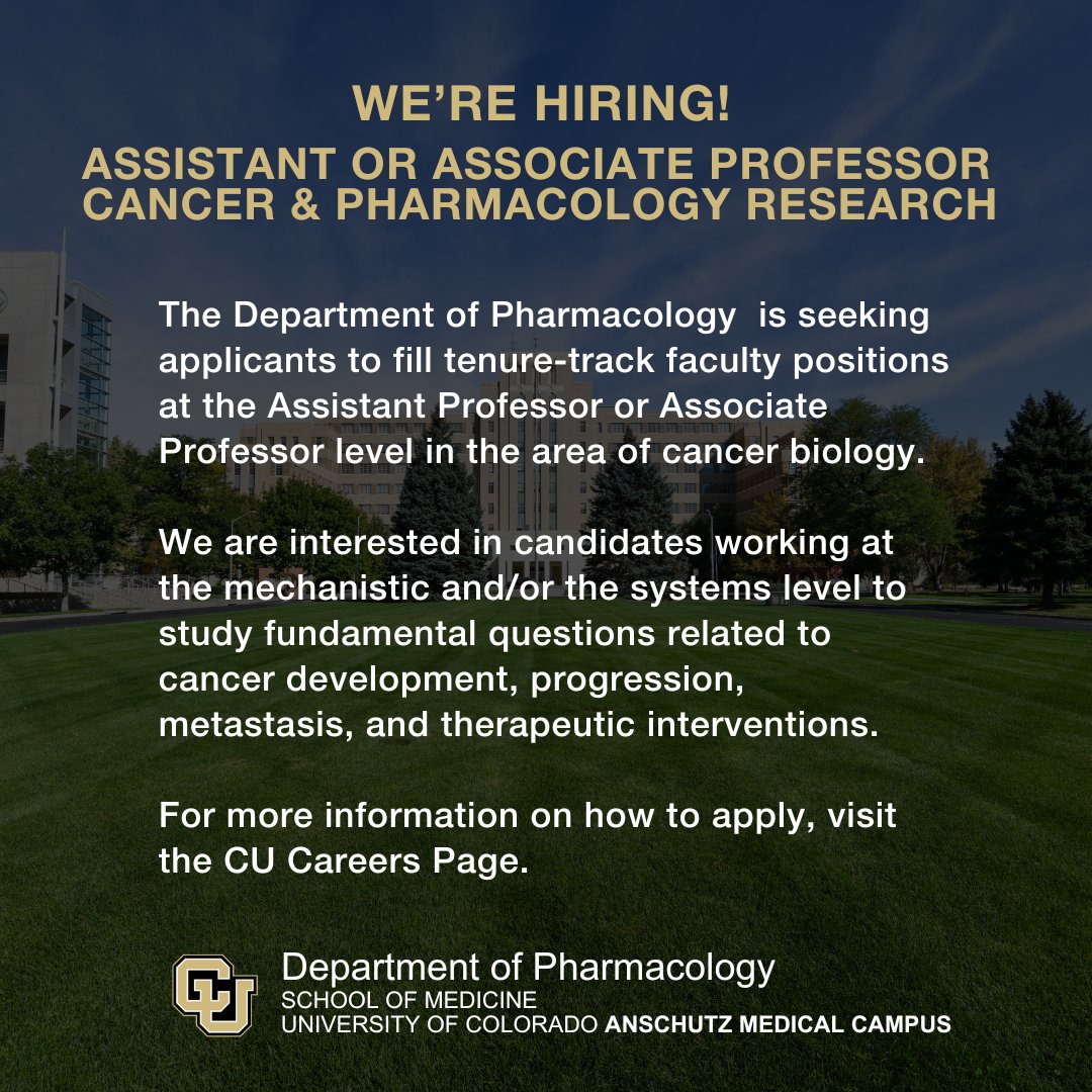 We are hiring for an Assistant or Associate Professor in Cancer &amp; Pharmacology Research! Learn more about this faculty position and how to apply on the CU Careers platform: bit.ly/3R1zpnA

#hiring #professor #CancerResearch #pharmacology #faculty #schoolofmedicine