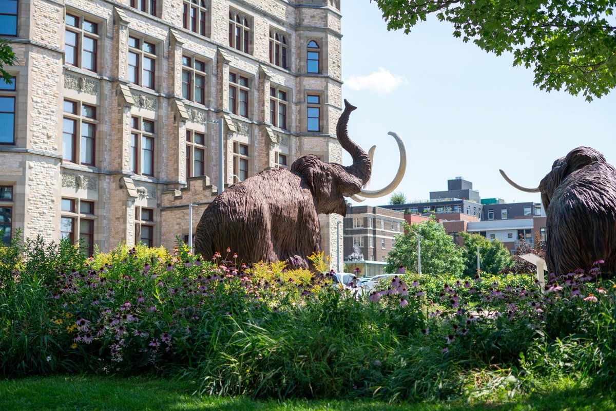 Museum of Nature tweet media
