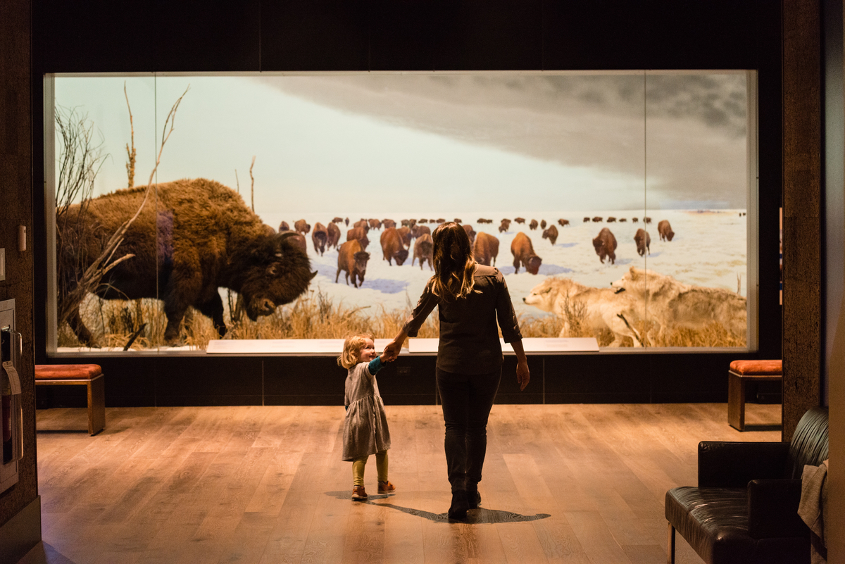Museum of Nature tweet media