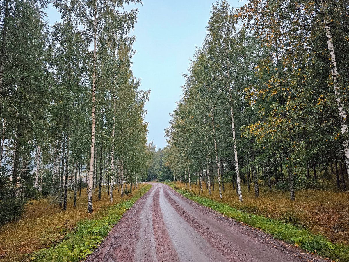 Juha Auvinen tweet media
