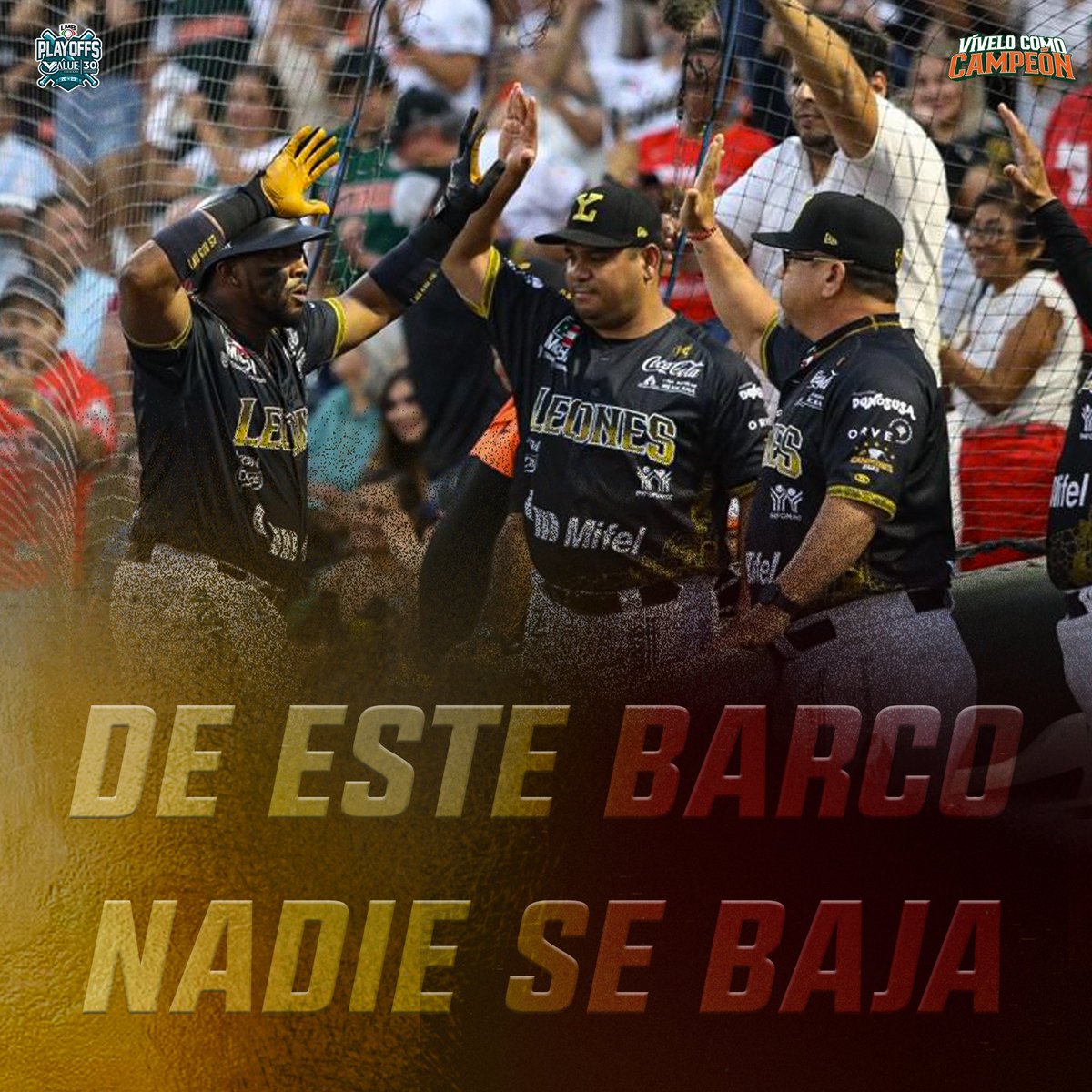 leonesdeyucatan's tweet photo. HEMOS HECHO GRANDES COSAS😤 ¡AQUÍ NADIE SE RAJA!🔥❤️🥚

¡Vamos Leones, vamos Yucatán!🦁👊🏻

#VíveloComoCampeón⭐️ https://t.co/0nxHe2OIlx