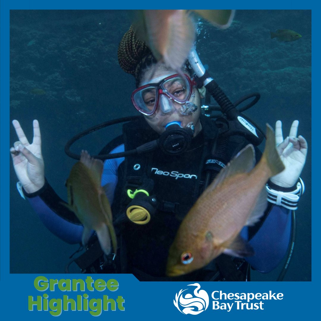 baytrust's tweet photo. Today's #granteehighlight features @blackgirlsdivefoundation. #BGDF empowers young ladies to explore their #STEM identity through marine science, conservation & SCUBA. Congrats on #empoweringpeople & #restoringnature while creating the next generation of #environmentalists! https://t.co/sh6KX93mo5