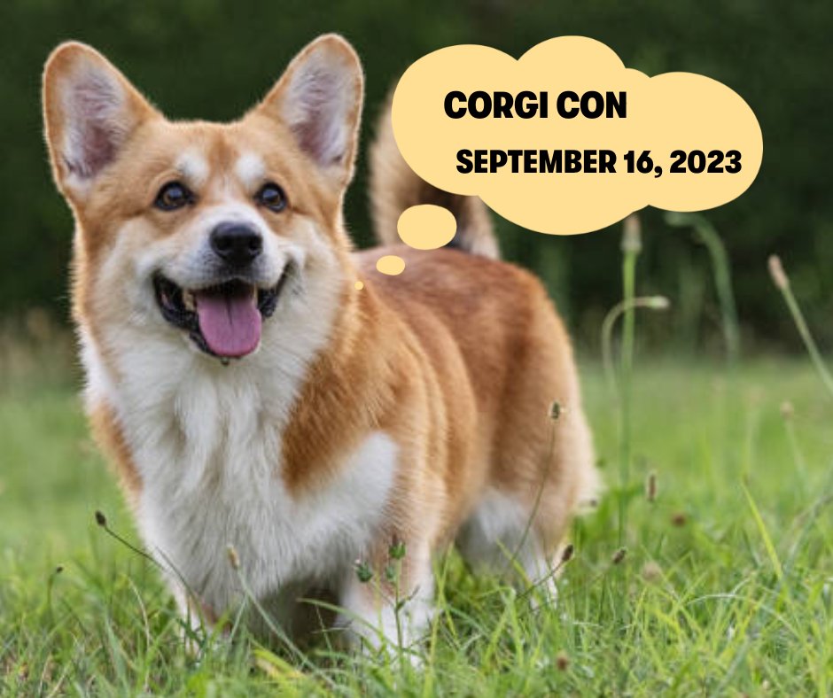 ACFair's tweet image. Corgi Con will be here before we know it! Get your tickets in our bio today 🐶

#alamedacountyfairgrounds #corgicon #corgilover #dogs #bayarea #corgi #weekendvibes #bayareadogs #norcalcorgicon