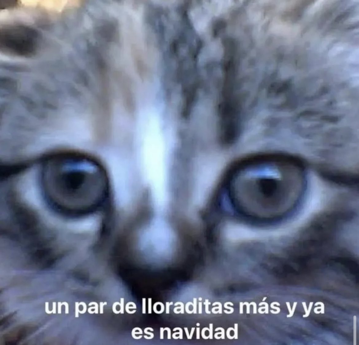 Rolita (@_onerolita) on Twitter photo 