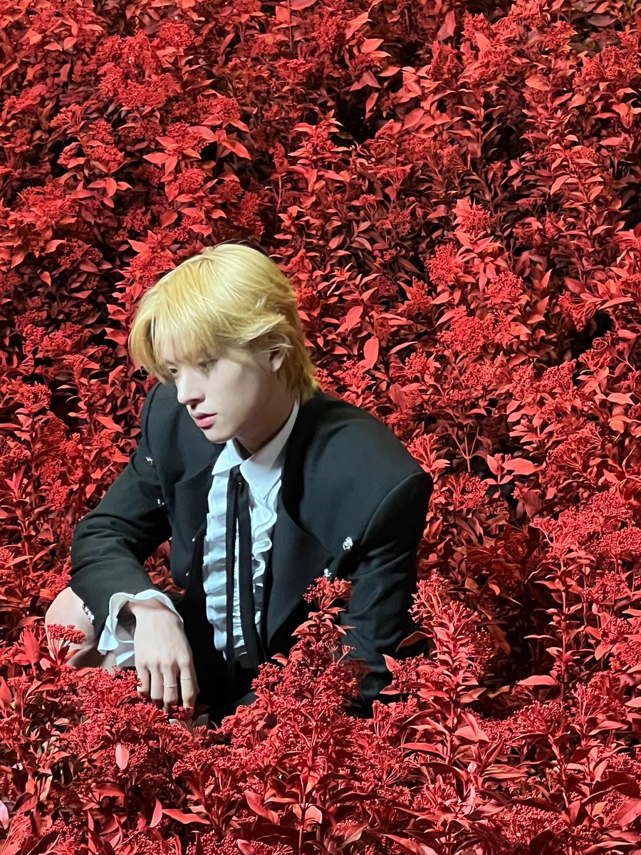 simjakethinker's tweet image. hi everyone!!
this is a new thinker account dedicated to our aussie boy in enhypen, sim jaeyun! ♡
— please rt to find more jake lovers! 🌹
#enhypen_jake #ENHYPEN #엔하이픈 #JAKE #제이크 #ENGENE #엔진