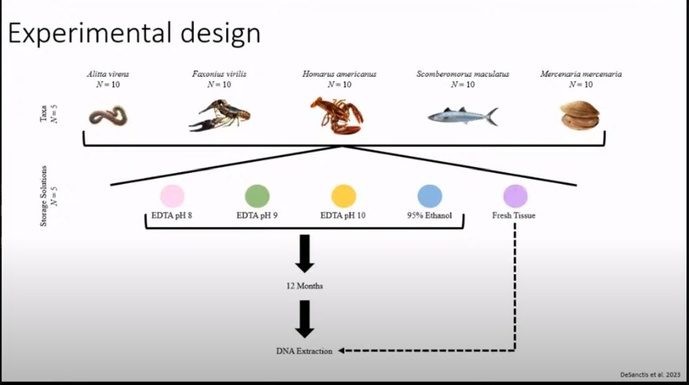🎉🎉OGL's very own Rosie Poulin gave an amazing talk at SPNHC, about one of our most recent papers. She talked about how decreasing the acidity of the DNA preservative EDTA can improve the quality of DNA recovered. Watch here!

youtube.com/watch?v=-Qq9S2…
#DNA #Northeastern #SPNHC