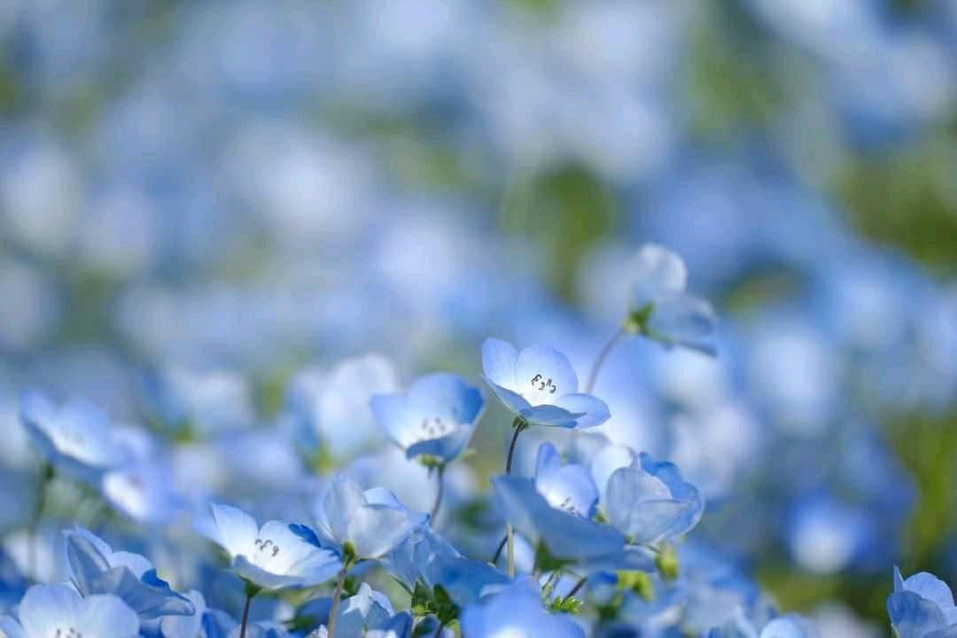 みなさん…おはようございます😊
マザーテレサの名言です…
人生とは約束です…それを果たしてください…
あなたの人生は神様と約束してから生まれてきているのです…
今日も宜しくお願いします😊