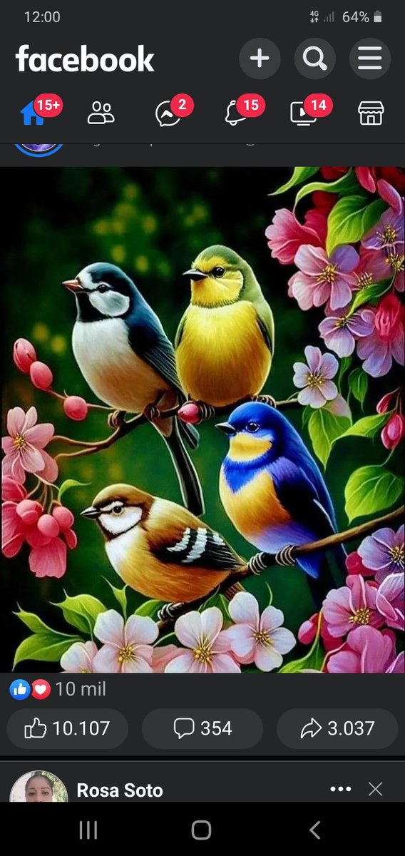 Victoria Sánchez (@victoriasan63) on Twitter photo 