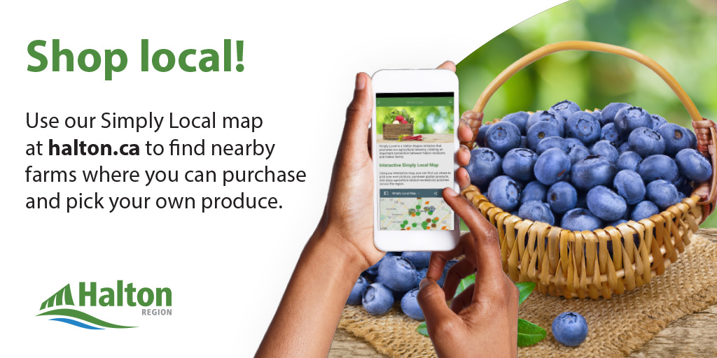 RegionofHalton's tweet image. Shop local in #HaltonON! Our #SimplyLocal online map makes it easy to find local farms, nurseries and garden centres near you. Learn more: ow.ly/Q8vv50PFTVO
