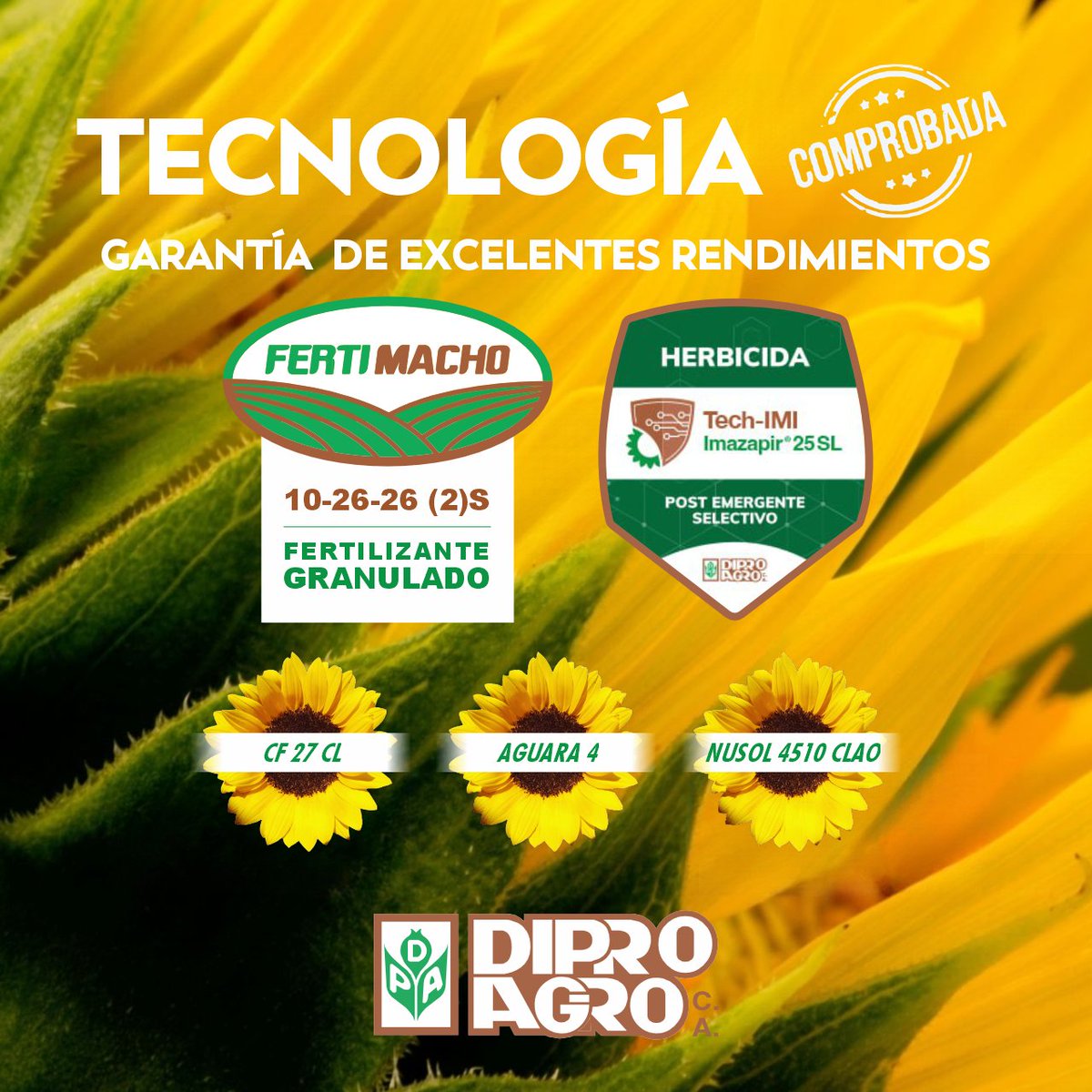 diproagroca's tweet photo. La 𝗧𝗲𝗰𝗻𝗼𝗹𝗼𝗴í𝗮 𝗖𝗢𝗠𝗣𝗥𝗢𝗕𝗔𝗗𝗔 de 𝘿𝙄𝙋𝙍𝙊𝘼𝙂𝙍𝙊 🌿 para #GIrasol es 𝗚𝗮𝗿𝗮𝗻𝘁í𝗮 𝗱𝗲 𝗘𝘅𝗰𝗲𝗹𝗲𝗻𝘁𝗲𝘀 𝗥𝗲𝗻𝗱𝗶𝗺𝗶𝗲𝗻𝘁𝗼𝘀
🌻 CF 27 CL
🌻 AGUARÁ 4
🌻 NUSOL 4510 CLAO
🌻 TECH IMI Imazapir 25 SL
🌻 Fertimacho

▶ Contáctenos para más información https://t.co/k76oDi2MoH