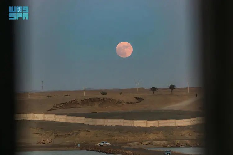 SaudiNews50's tweet photo. صور:

الآن:

القمر العملاق الأزرق في سماء #المملكة. 

- https://t.co/bM3WjX8Uu7