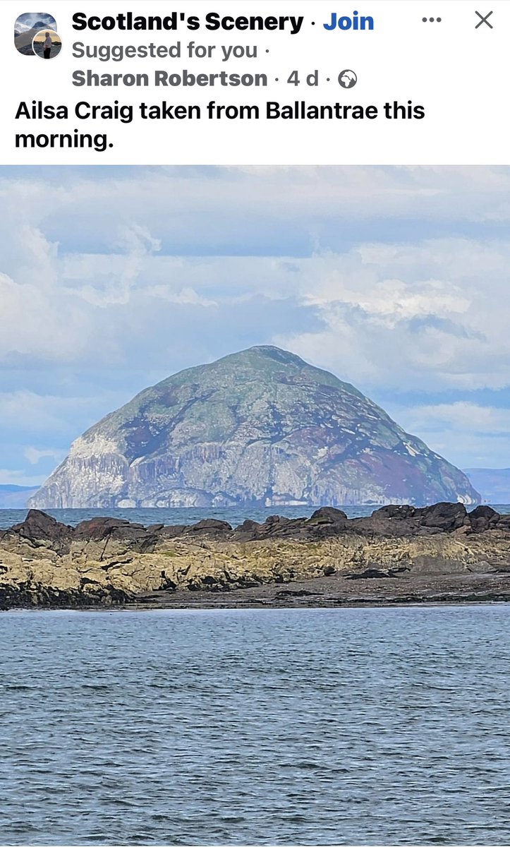 Milly Tee tweet media