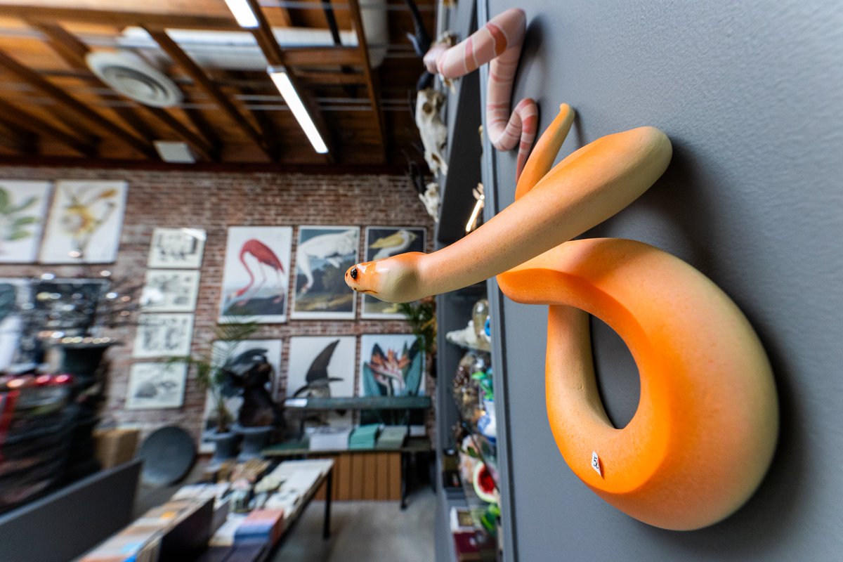 Old Pasadena tweet media