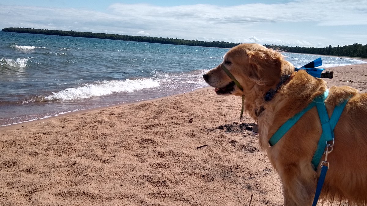 alidawintern's tweet photo. Suddenly, today is perfect. You  know those  places that lift your spirit the  moment you arrive? are impossibly wondrous or beautiful? you can’t imagine  not having in your life?
Lake Superior is that place for me. Where is your place? Let’s share a little magic with each other. https://t.co/8gWv50GqTo