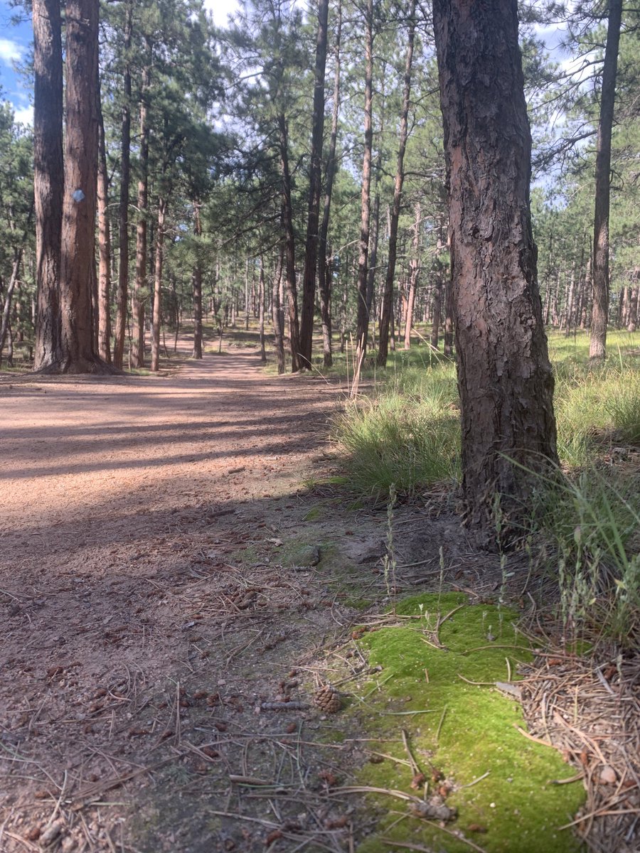 antelope_dan's tweet photo. Yesterday my path was chosen, yesterday my smile was frozen, yesterday my doors were closing down #redfoxtrail #devotiontoadream https://t.co/4sI24EadYS
