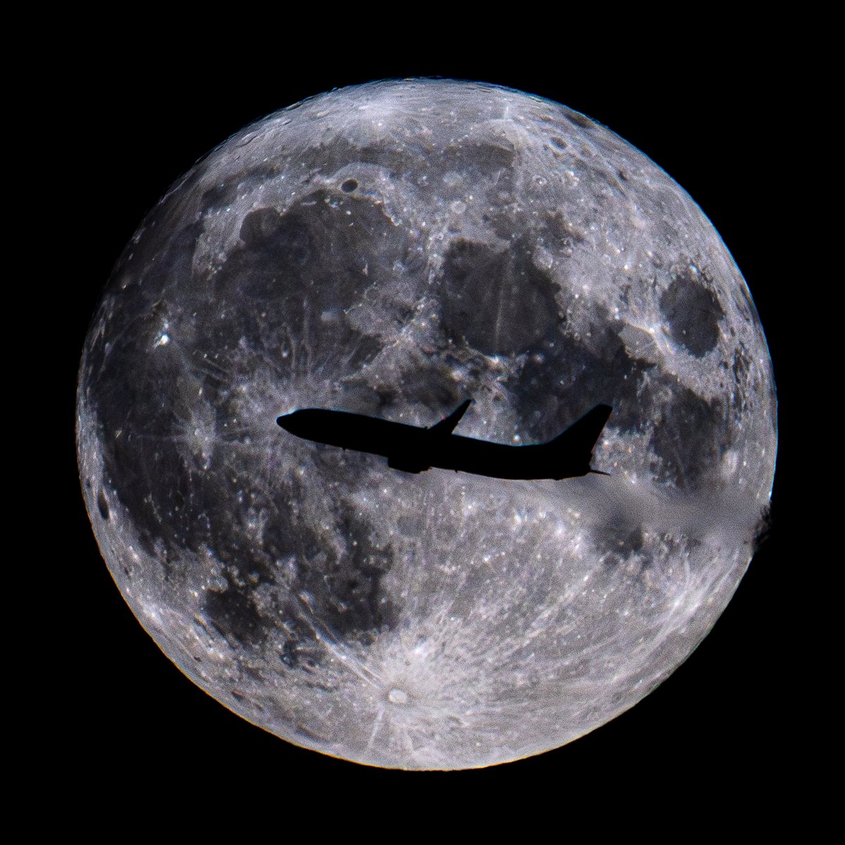 Tim Cornbill tweet media