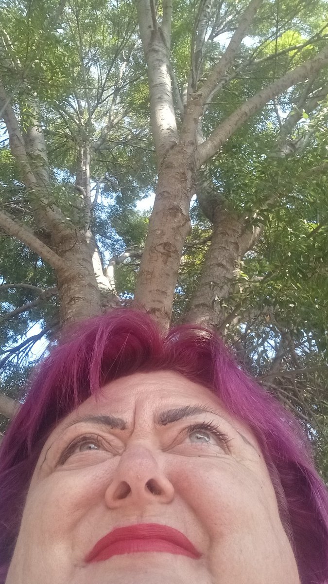 m.facebook.com/story.php?stor…