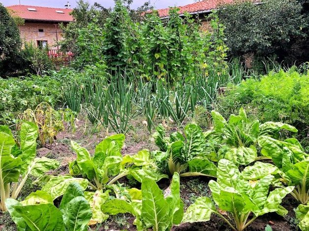 AidaBSanchez's tweet photo. "Veo mi huerto, veo los campos y, a lo lejos, como una aparición, la imagen de la diosa tumbada, la húmeda madre tierra".
Encontrar la felicidad cultivando ‘el huerto de una holgazana’ https://t.co/PToAGFK744 ‘El huerto de una holgazana’, de #PiaPera vía @Elasombrario https://t.co/DsWUhBAeTr
