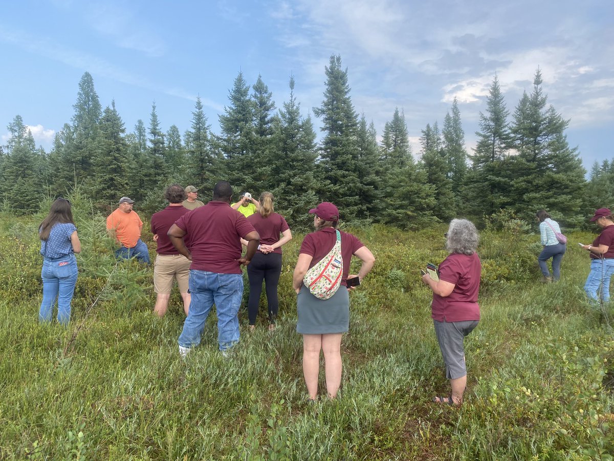 shazam110's tweet photo. The bog is where it’s at today! Aitkin County foresters actively manage the public wooded acres across the county. A bonus is a managed area for blueberries along the Soo Line Trail. Doing ecological forestry inspired by Jerry Franklin in Washington State. https://t.co/gGQsDcwX5k