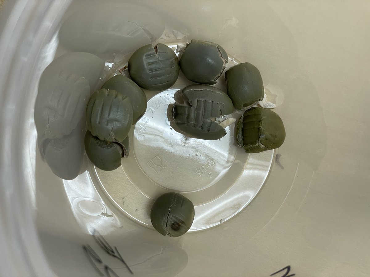 Andrew Kearns tweet media