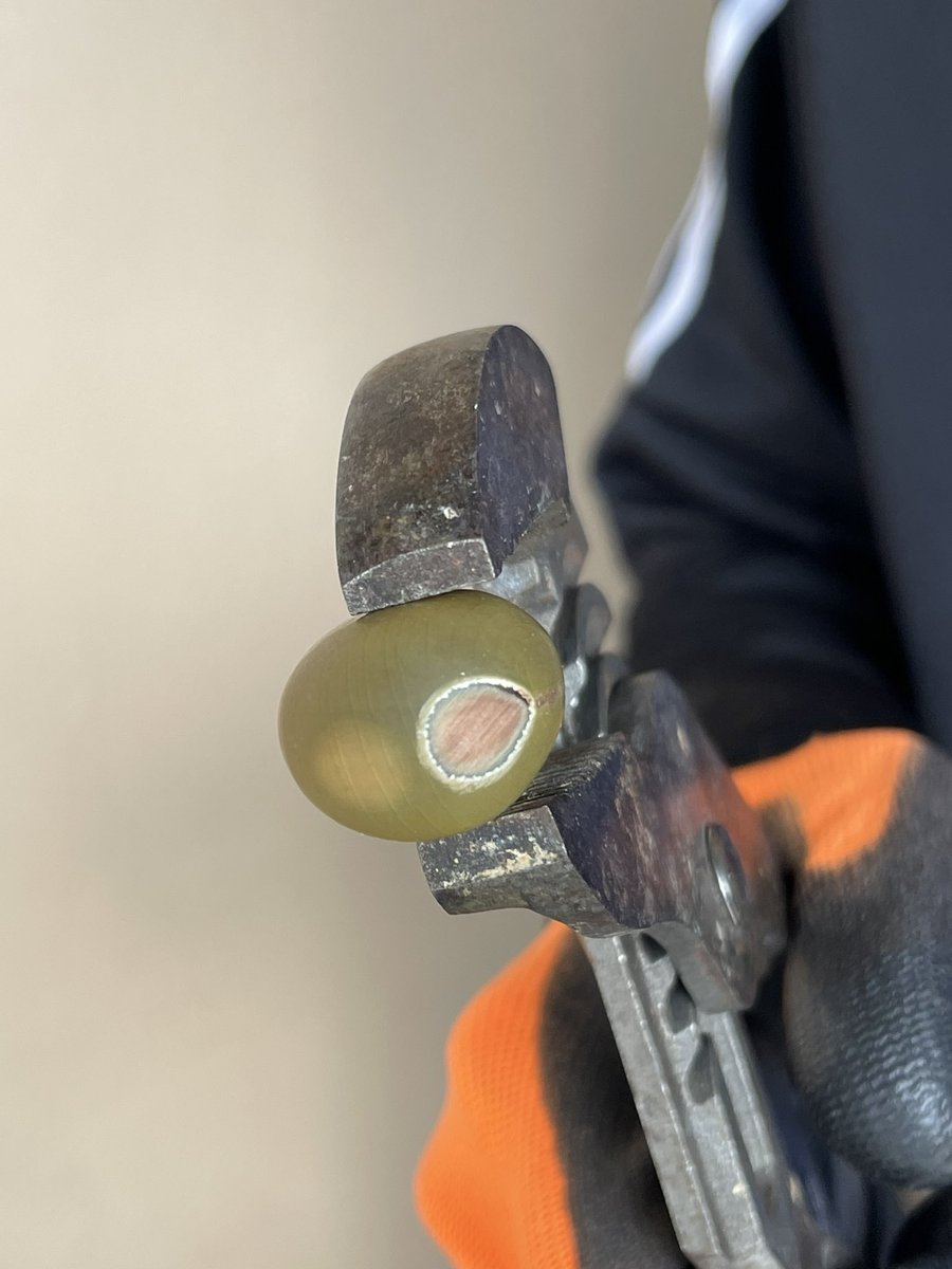 Andrew Kearns tweet media