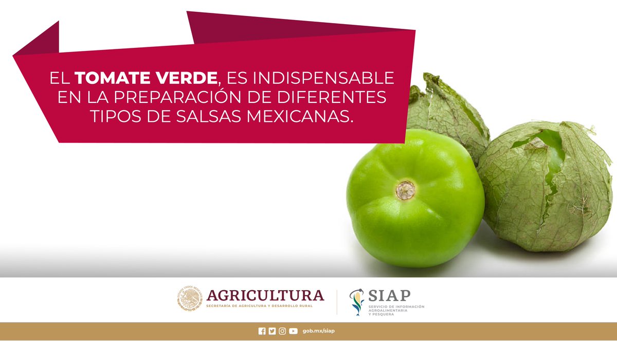 DGSIAP_Mx's tweet photo. #Sinaloa es la entidad con mayor producción de #TomateVerde a nivel nacional, con 153,313 ton.
#AlimentaciónMexicana
#Salsas
#OrgullodeMéxico https://t.co/2TJOiGfdoQ