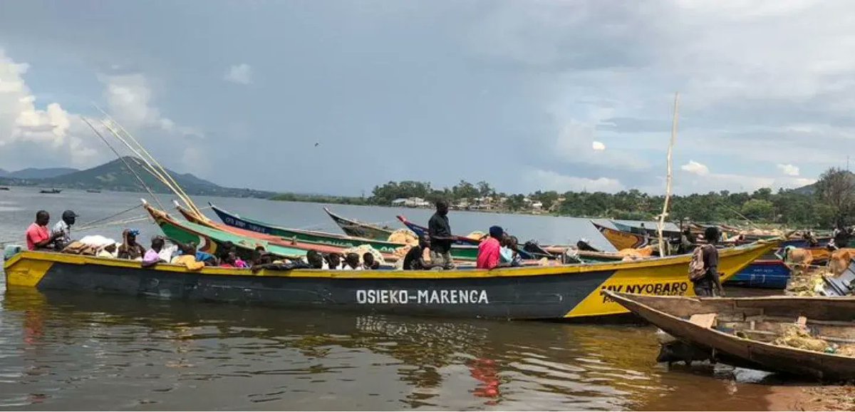 Life&Peace Institute tweet media