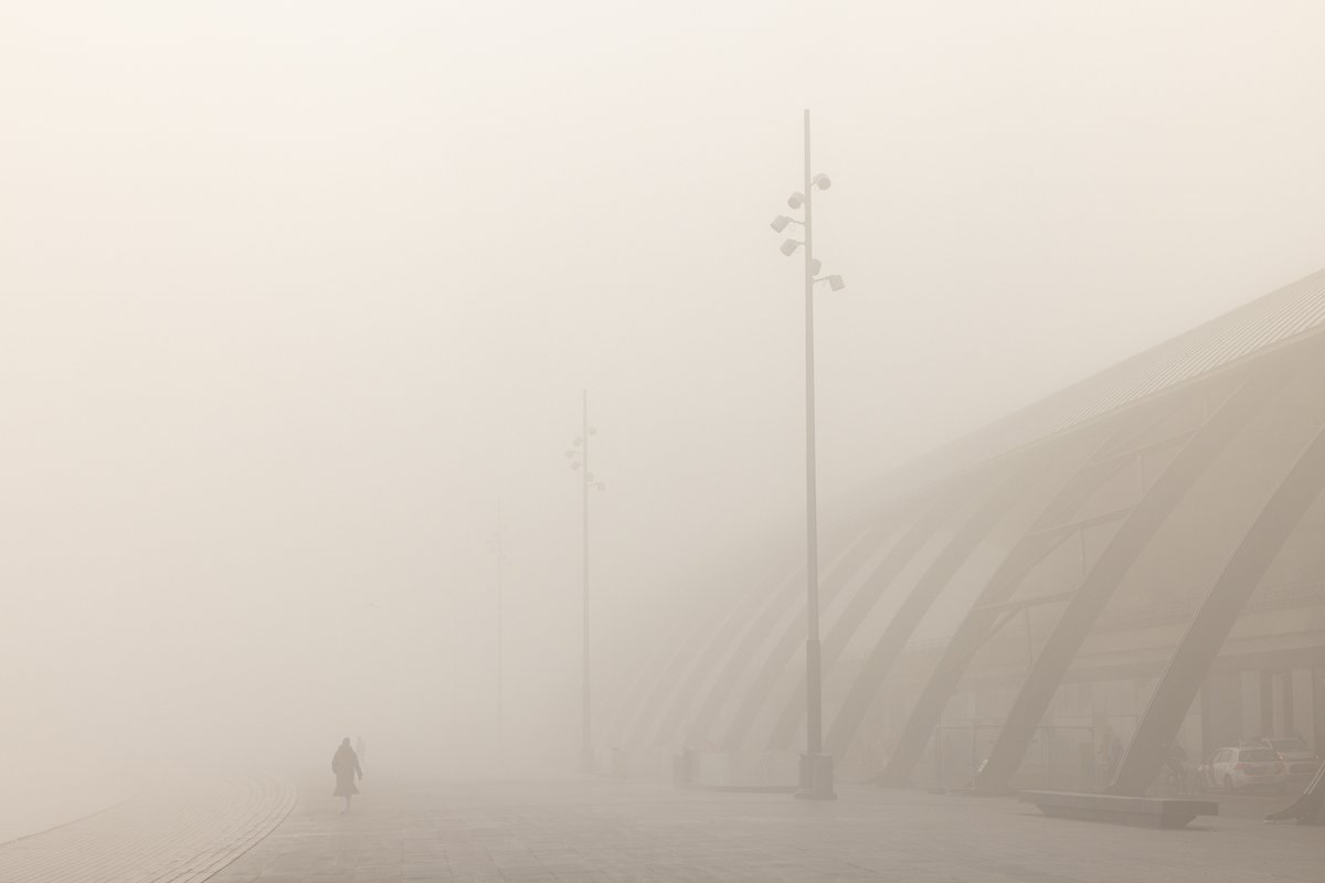 William Maanders 🌿 tweet media