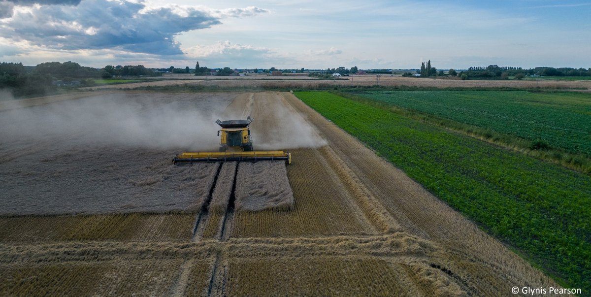 Short term vacancies available with the Centre for Landscape Regeneration - apply by 13th September.

We are seeking a number of people to assist with our upcoming Farmer Survey in the Cambridgeshire Fens.

Please share.  

clr.conservation.cam.ac.uk/opportunities