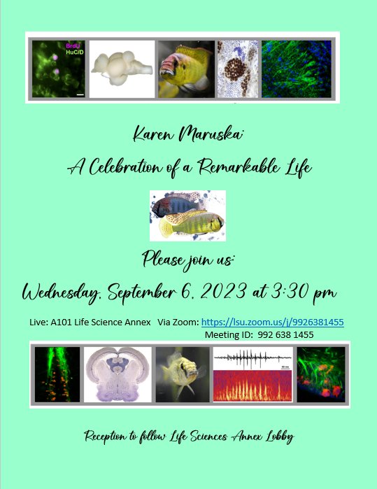 lsubiograds's tweet image. Join in with the celebration of life with one the BioGrads Mentor Dr. Karen Marushka