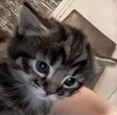 HumTwinkle's tweet image. Tghis os me 2day