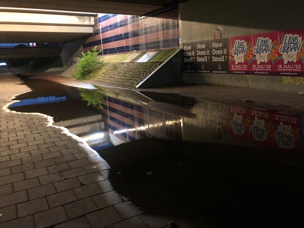 Nattigheid
Viel er eindelijk een beetje regen, hebben we meteen een zwembad bij de metrotunnel #Isolatorweg

#Vrijwilligers #Dierenambulance #Amsterdam
Bij zon en regen op de Mokumse wegen, 365 dagen per jaar 24/7