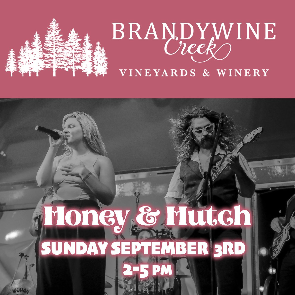 1st show of September - in Indianapolis this Sunday!
#indy #acousticduo #livemusic #localmusic #Winery #vineyards #brandywine #wine #couplegoals