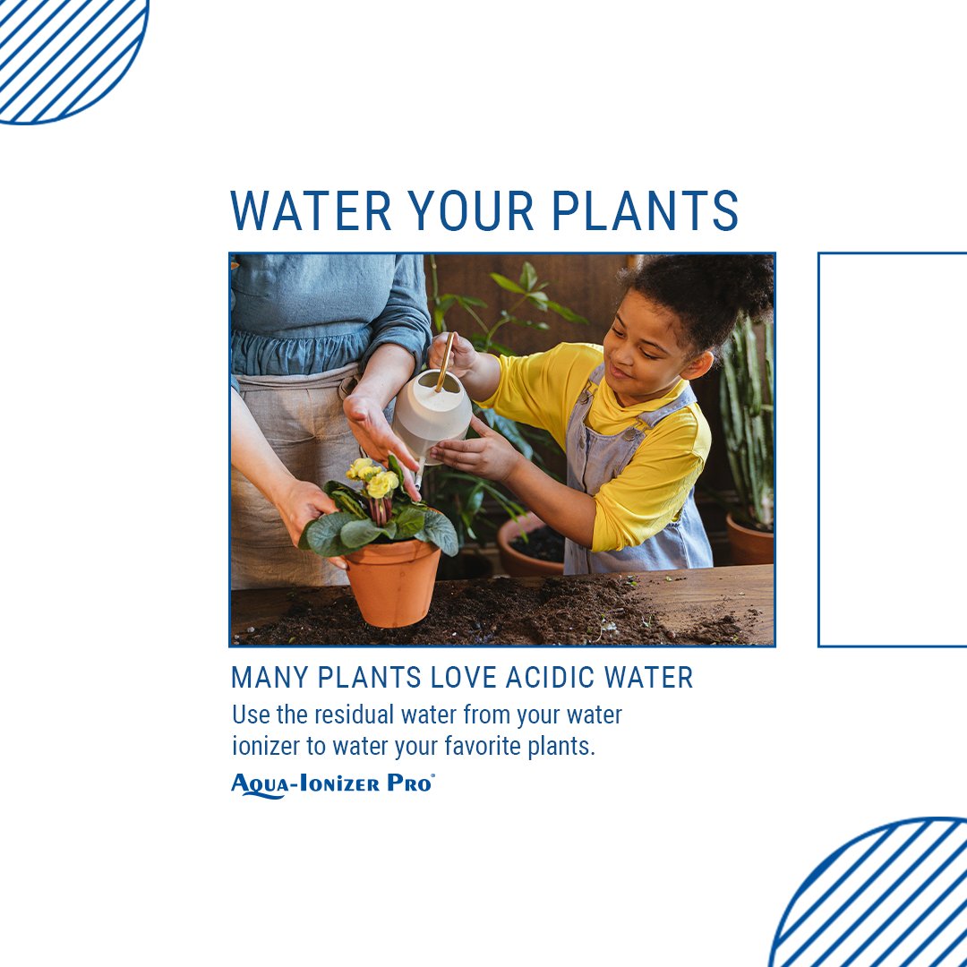 AquaIonizerPro's tweet photo. All Aqua Ionizer Pro machines make acidic water without the use of chemicals that your plants will love! Use a pH of around 6 to water your plants. 🌱💧💪 https://t.co/1aU2uiYLNv