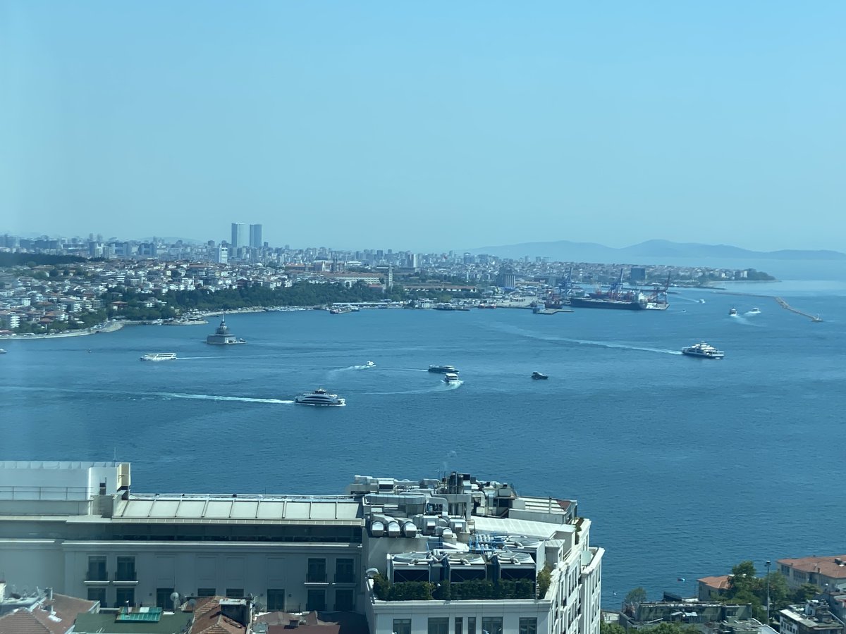 Elif Nur Firat-Karalar tweet media