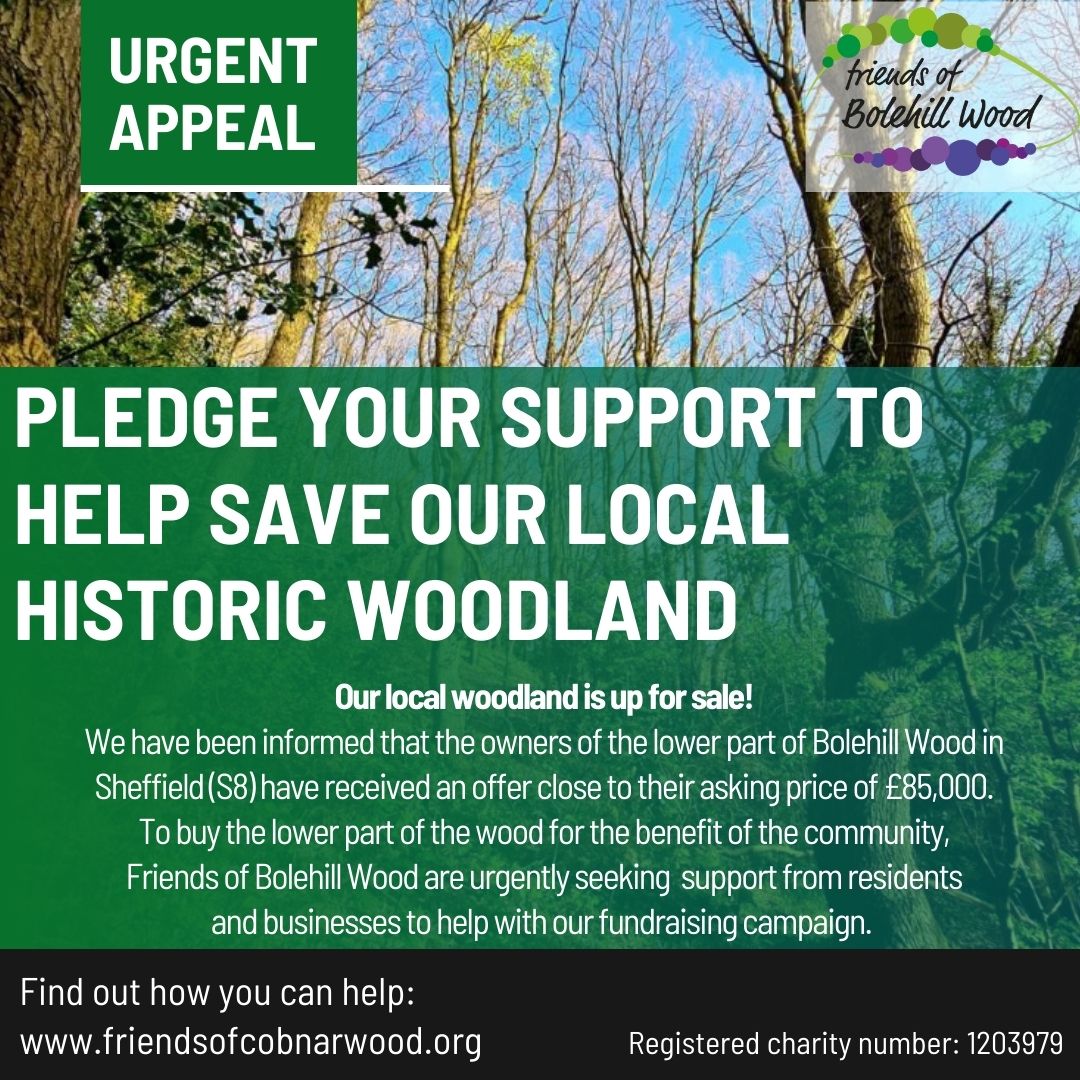 URGENT APPEAL To buy the lower part of the wood for the benefit of the community, Friends of Bolehill Wood are urgently seeking support from residents and businesses to help with our fundraising campaign. Find out how you can help: friendsofcobnarwood.org