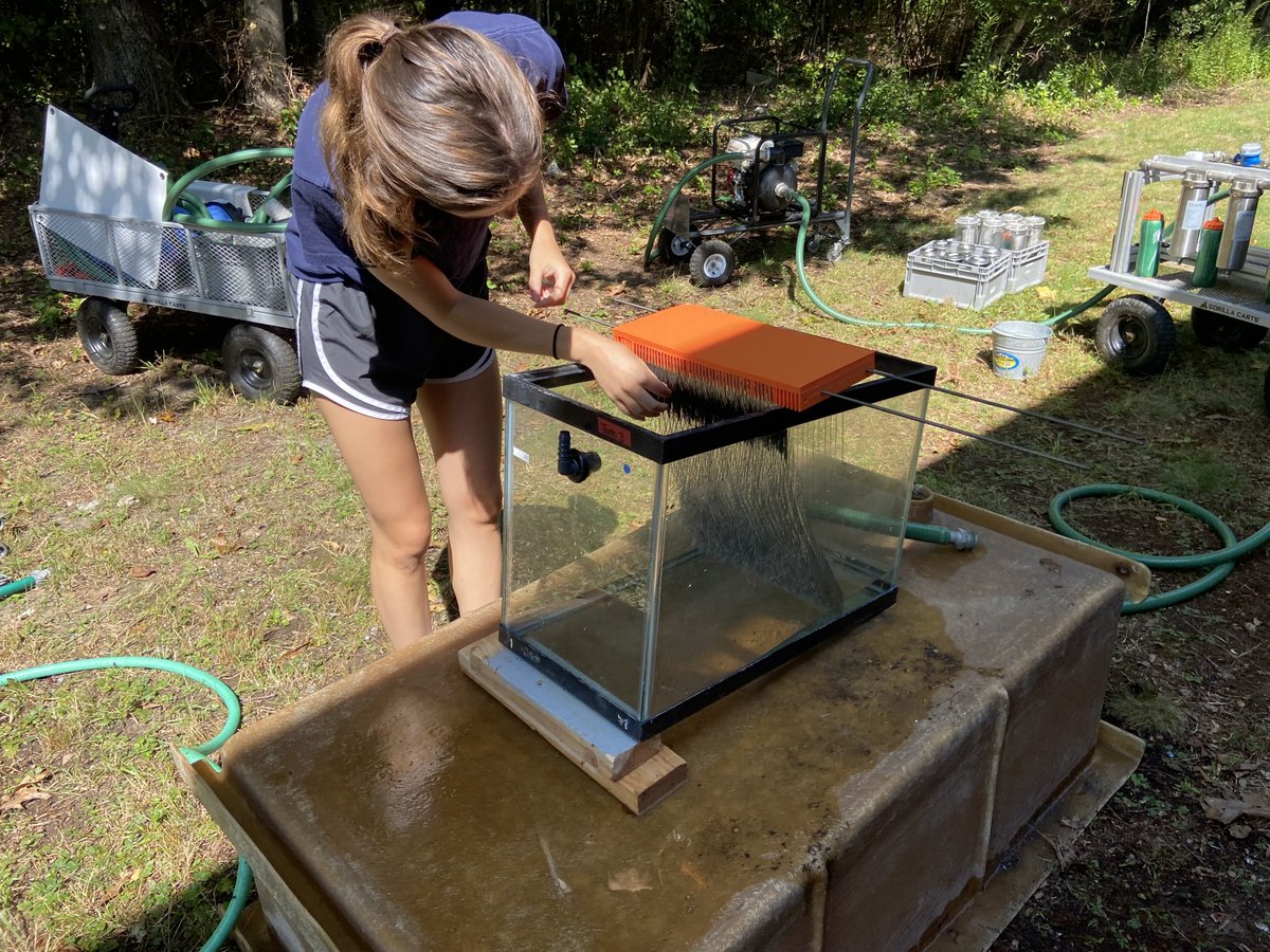 Sarah Davis, PhD tweet media