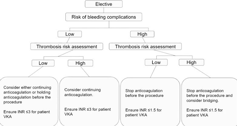 Endovascular Rounds tweet media