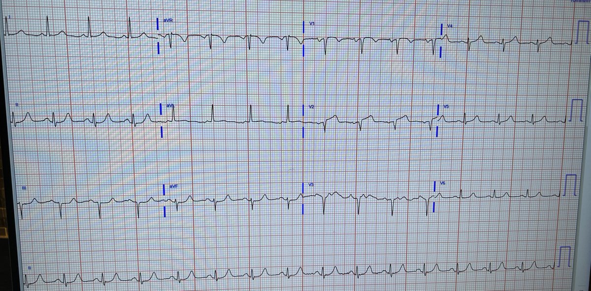 Stephen W. Smith tweet media