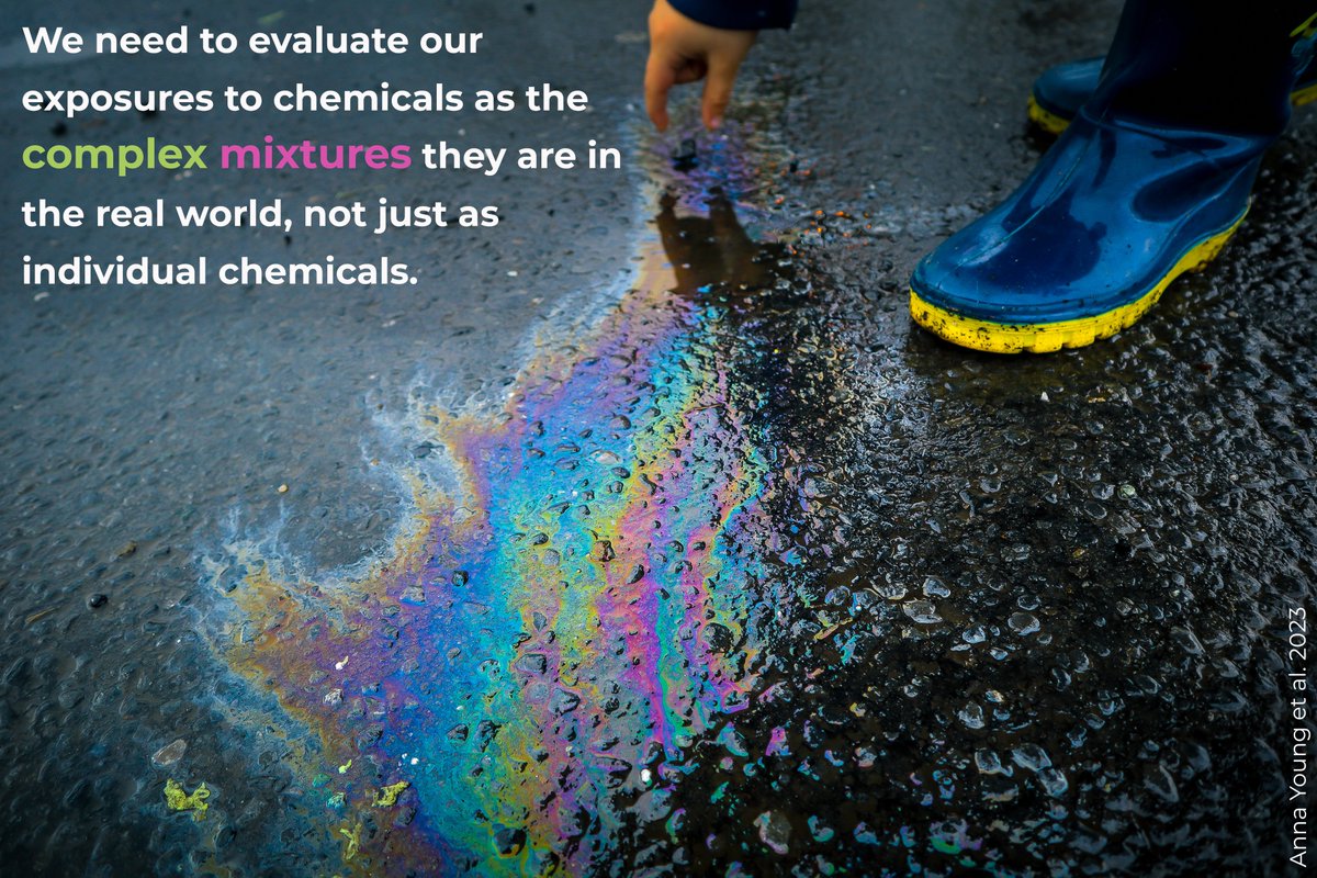 ICYMI - CHE blog highlights @anna_s_young's recent documentation, using silicon wristbands, of office workers' exposures to multiple, endocrine disrupting chemicals. 

"Every single wristband sample was hormonally bioactive."

#EDCs #chemicalmixtures