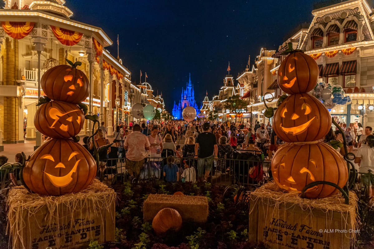 adam_ap_wdw's tweet image. Parks at night. #wdw #WaltDisneyWorld #HollyWoodStudios #epcot #magickingdom #Nikon #disneyworld #disneyphotography