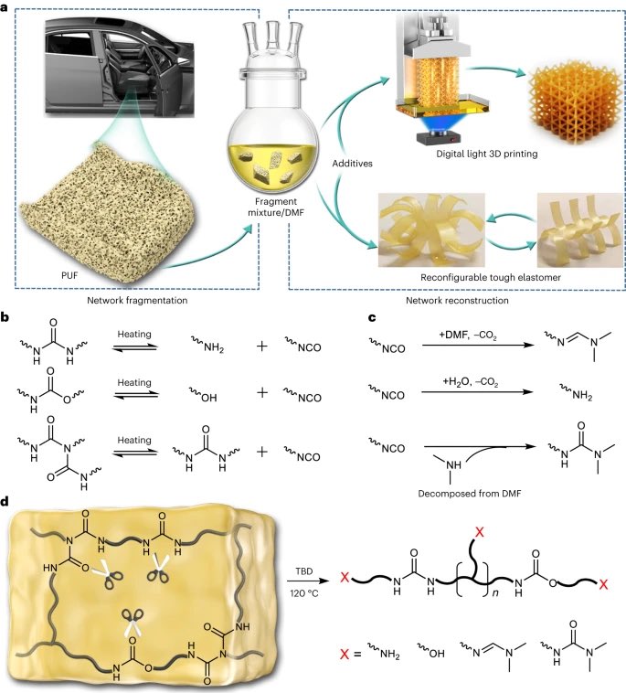 YOLO4CHEM's tweet photo. Chemical upcycling of commodity thermoset polyurethane foams towards high-performance 3D photo-printing resins
https://t.co/5xvDv7Ifm6 https://t.co/6T3L1TiUTq