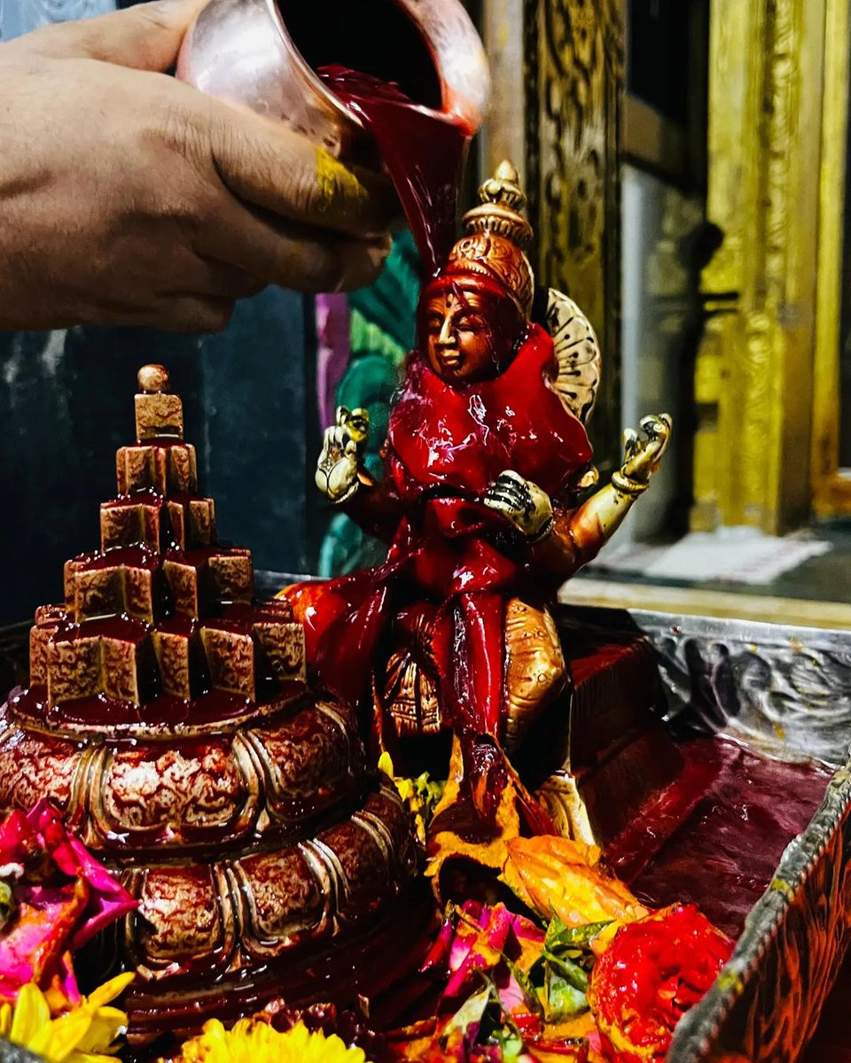 #SriGnanaSaraswatiPeetam ⛩️🌺
 #CultralHeritage #WarangalTemples #Warangal #Telangana