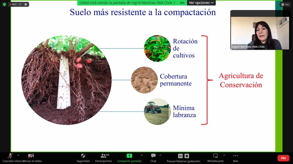 🌱 Agradecemos a los 70 conectados que participaron en la tercera sesión del ciclo de charlas y por su puestoa Ingrid Martínez de <a href="/inia_remehue/">INIA Remehue</a> por hablarnos del Rol de la materia orgánica en el manejo sustentable de suelos
💻 ¿Te la perdiste? ingresa a :  youtu.be/xpxbS-b6ACY?si…