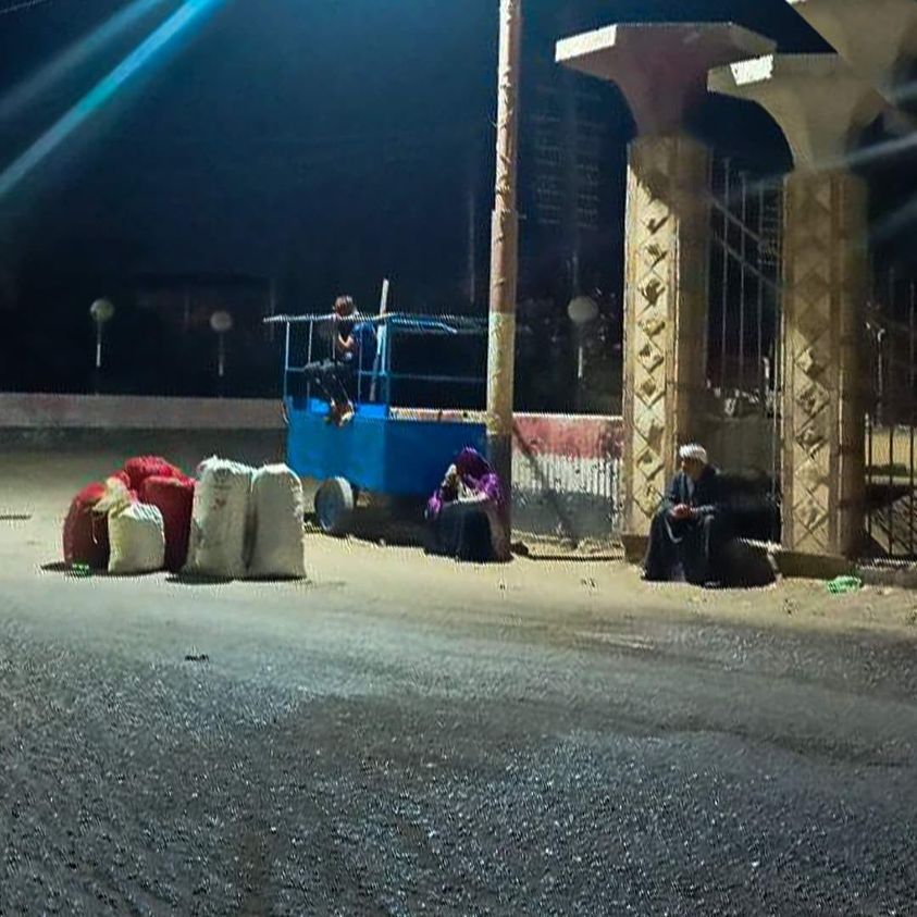 اسيراسورات tweet media