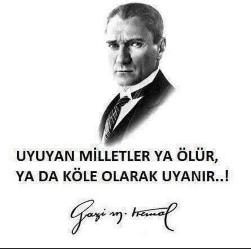 Tamer Yiğit GÜLER (@tameryigitguler) on Twitter photo 
